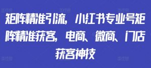 矩阵精准引流，小红书专业号矩阵精准获客，电商、微商、门店获客神技-沐风资源库