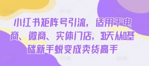 小红书矩阵号引流，适用于电商、微商、实体门店，30天从0基础新手蜕变成卖货高手-沐风资源库