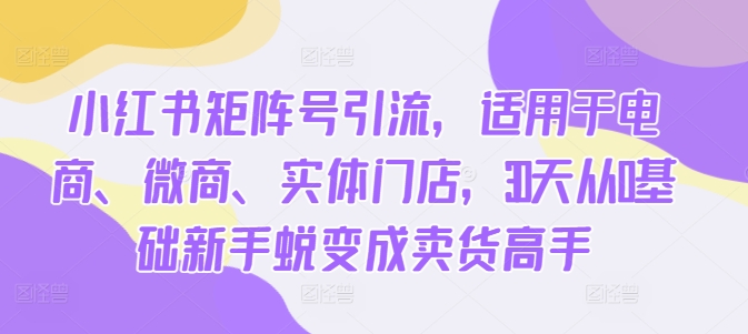 小红书矩阵号引流，适用于电商、微商、实体门店，30天从0基础新手蜕变成卖货高手-沐风资源库