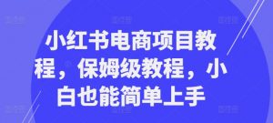 小红书电商项目教程，保姆级教程，小白也能简单上手-沐风资源库