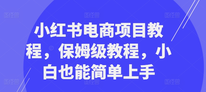 小红书电商项目教程，保姆级教程，小白也能简单上手-沐风资源库