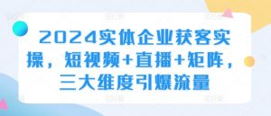 2024实体企业获客实操，短视频+直播+矩阵，三大维度引爆流量-沐风资源库