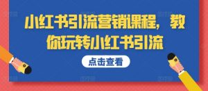 小红书引流营销课程，教你玩转小红书引流-沐风资源库