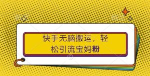 快手无脑搬运,轻松引流宝妈粉,纯小白轻松上手【揭秘】-沐风资源库