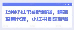 巧用小红书引流顾客，精准招募代理，小红书引流专辑-沐风资源库