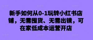 新手如何从0-1玩转小红书店铺，无需囤货、无需出镜，可在家低成本运营开店-沐风资源库