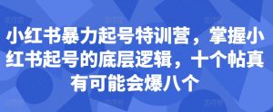 小红书暴力起号特训营，掌握小红书起号的底层逻辑，十个帖真有可能会爆八个-沐风资源库