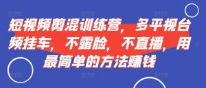短视频‮剪混‬训练营，多平‮视台‬频挂车，不露脸，不直播，用最简单的方法赚钱-沐风资源库