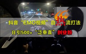 抖音EMO视频自热打法，日引500+“泛垂直”创业粉-沐风资源库