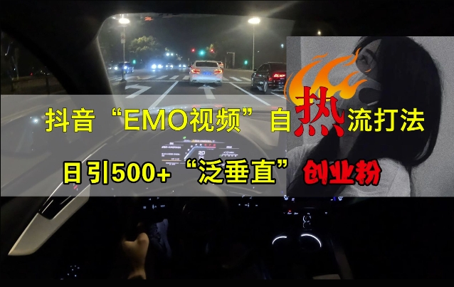 抖音EMO视频自热打法，日引500+“泛垂直”创业粉-沐风资源库