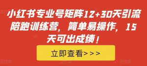 小红书专业号矩阵12+30天引流陪跑训练营,简单易操作,15天可出成绩!-沐风资源库