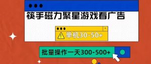 筷手磁力聚星4.0实操玩法，单机30-50+可批量放大【揭秘】-沐风资源库