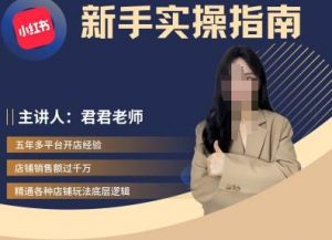 君君-小红书电商从入门到精通，新手实操指南-沐风资源库