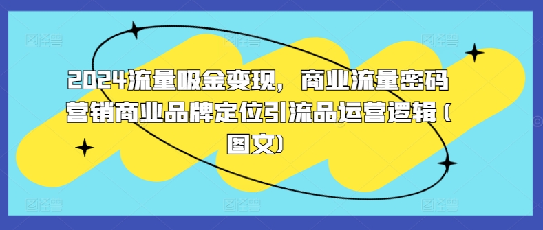 2024流量吸金变现，商业流量密码营销商业品牌定位引流品运营逻辑(图文)-沐风资源库