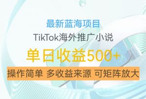 最新蓝海项目，利用tiktok海外推广小说赚钱佣金，简单易学，日入500+，可矩阵放大【揭秘】-沐风资源库
