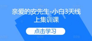 亲爱的安先生-小白3天线上集训课-沐风资源库