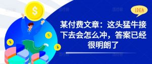某付费文章：这头猛牛接下去会怎么冲，答案已经很明朗了 !-沐风资源库
