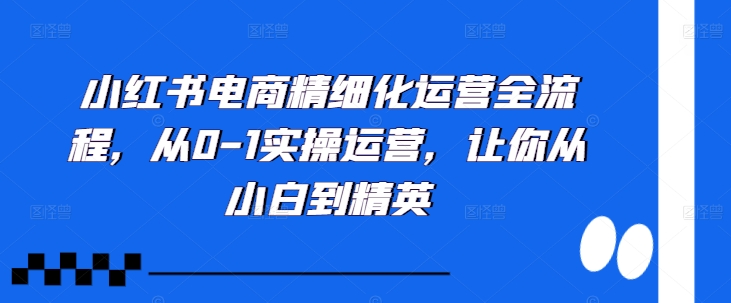 小红书电商精细化运营全流程，从0-1实操运营，让你从小白到精英-沐风资源库