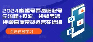 2024蝴蝶号零基础起号全流程+投流，视频号短视频直播带货运营实操课-沐风资源库