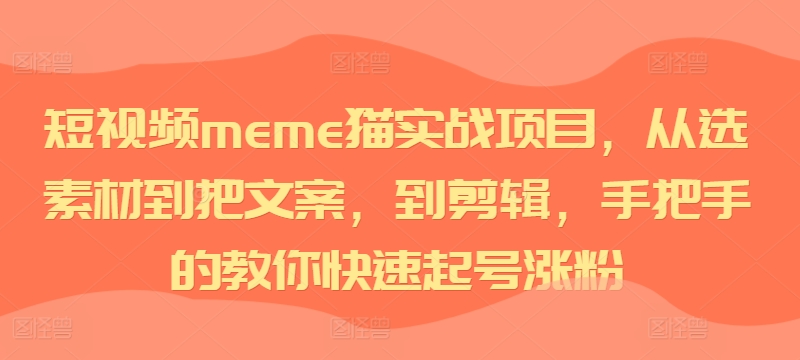 短视频meme猫实战项目，从选素材到把文案，到剪辑，手把手的教你快速起号涨粉-沐风资源库