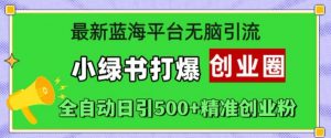 最新蓝海平台无脑引流,小绿书打爆创业圈,全自动日引500+精准创业粉-沐风资源库