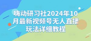 嗨动研习社2024年10月最新视频号无人直播玩法详细教程-沐风资源库