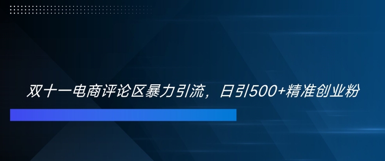 双十一电商评论区暴力引流，日引500+精准创业粉【揭秘】-沐风资源库