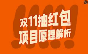 双11抽红包视频裂变项目【完整制作攻略】_长期的暴利打法-沐风资源库