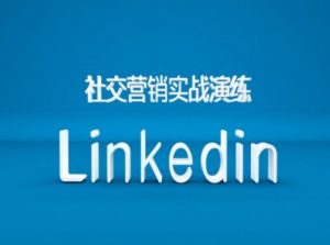 社交营销实战演练之Linkedin营销课程，B2B跨境外贸的新出路-沐风资源库