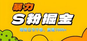 单人单机日引千粉，变现1k+，S粉流量掘金计划攻略【揭秘】-沐风资源库
