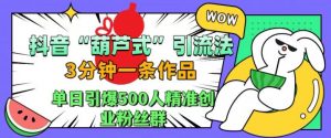 抖音葫芦式引流法，三分钟一条作品，单日引爆抖音500人精准创业粉丝群【揭秘】-沐风资源库