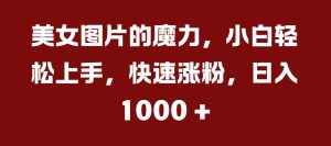 美女图片的魔力，小白轻松上手，快速涨粉，日入几张【揭秘】-沐风资源库