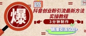 轻松制作创业类视频，一天被动加精准创业粉500+【揭秘】-沐风资源库