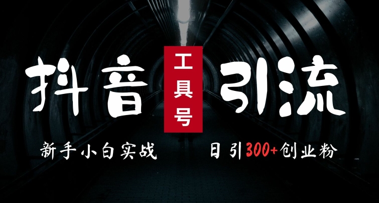 2024最新抖音工具号引流玩法，高效日引300+创业粉，当天变现5k，小白也可成为实战高手-沐风资源库