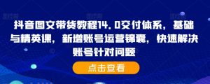 抖音图文带货教程14.0交付体系，基础与精英课，新增账号运营锦囊，快速解决账号针对问题-沐风资源库