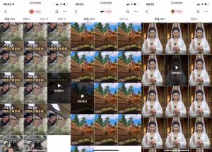 狗熊岭快手连怼技术，好物，涨粉都可以连怼-沐风资源库