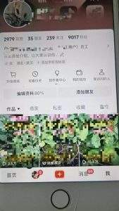 最新抖音暴力起万粉技术，一天涨万粉，发三四个作品涨近万粉-沐风资源库