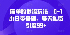 简单的截流玩法，0-1小白零基础，每天私域引流99+【揭秘】-沐风资源库