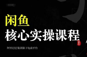 2024闲鱼核心实操课程，从养号、选品、发布、销售，教你做一个出单的闲鱼号-沐风资源库