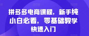 拼多多电商课程，新手纯小白必看，零基础教学快速入门-沐风资源库