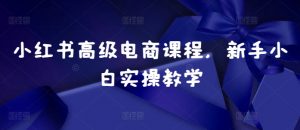 小红书高级电商课程，新手小白实操教学-沐风资源库