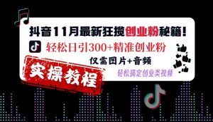 抖音11月最新狂揽创业粉秘籍，轻松日引300+精准创业粉，仅需图片+音频，轻松搞定创业类视频-沐风资源库