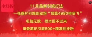小红书11月最新图片打粉，一张图片引爆创业粉，“预算4980带我飞”，单条引流500+精准创业粉-沐风资源库