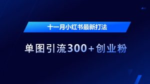十一月小红书最新打法，单图引流300+创业粉【揭秘】-沐风资源库