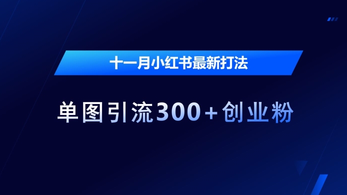 十一月小红书最新打法,单图引流300+创业粉【揭秘】-沐风资源库