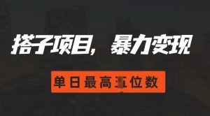 2024搭子玩法，0门槛，暴力变现，单日最高破四位数【揭秘】-沐风资源库