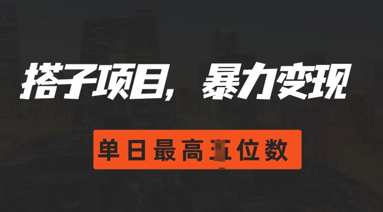 2024搭子玩法，0门槛，暴力变现，单日最高破四位数【揭秘】-沐风资源库