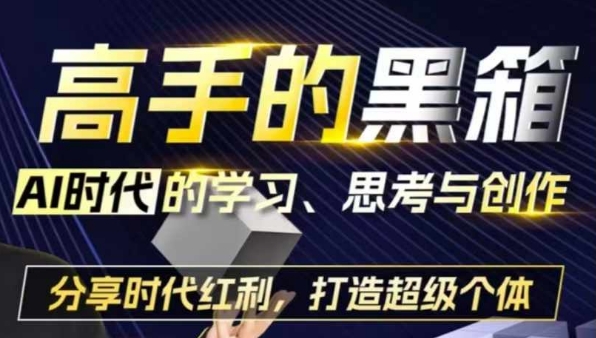 高手的黑箱：AI时代学习、思考与创作-分红时代红利，打造超级个体-沐风资源库
