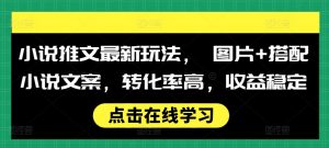 小说推文最新玩法， 图片+搭配小说文案，转化率高，收益稳定-沐风资源库