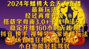 2024年蟠桃大会无人直播最新玩法，稳定开播160小时无违规，抖音、快手、视频号三家通用玩法【揭秘】-沐风资源库